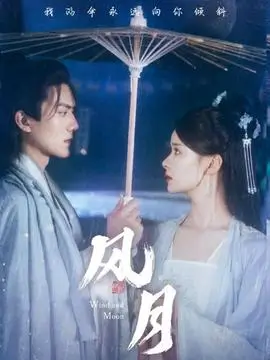双面回声 电视剧全集免费观看